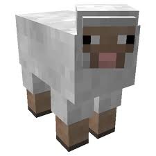 Derp, a sheep...